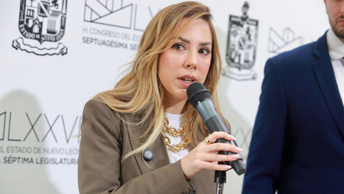 Perla Villarreal, coordinadora del PRD en Nuevo León | Especial