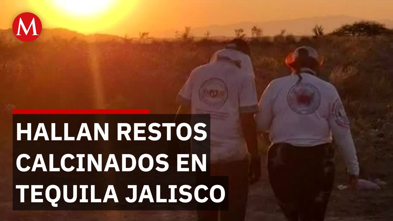 Buscando Corazones' halla fosa clandestina en Tequila, con restos humanos segmentados