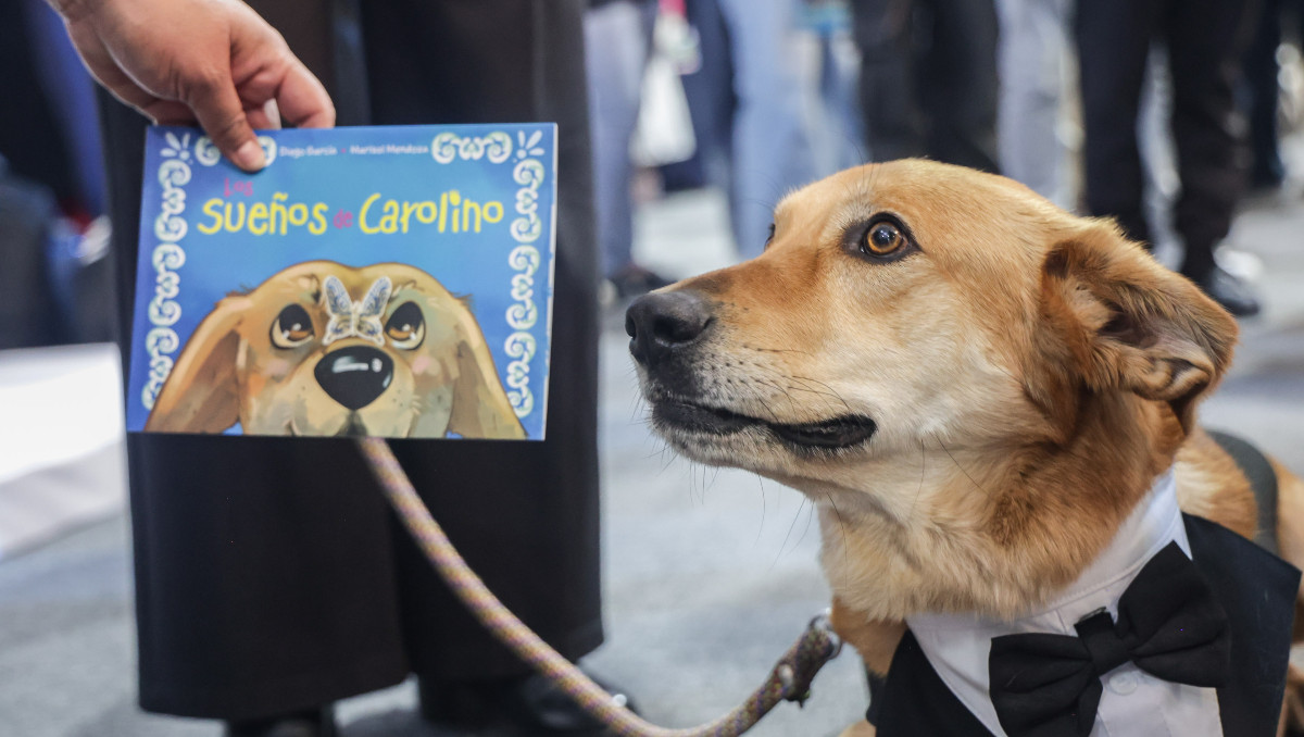 Carolino, el perrito de la BUAP, asiste a inauguración de FENALI 2026 | EsImagen