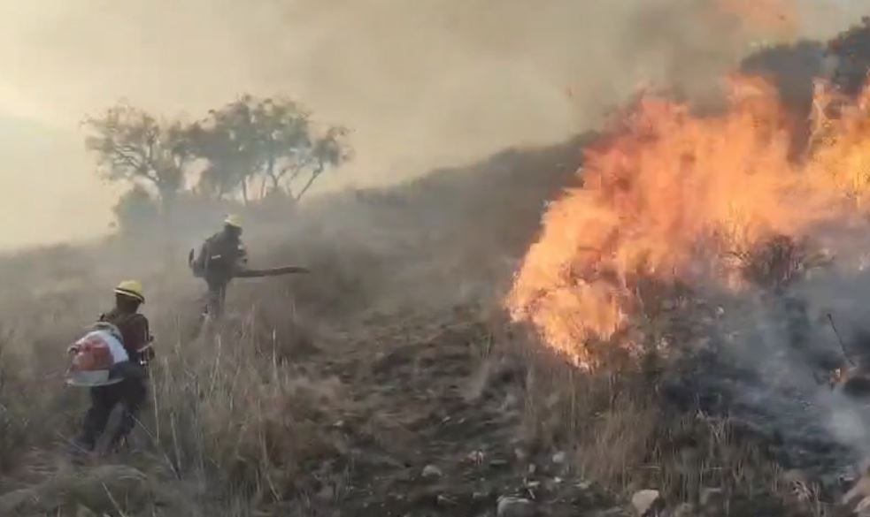 Incendios forestales en Hidalgo. (Cortesía)