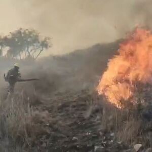 Hidalgo acumula 67 incendios forestales; investigan siniestros provocados