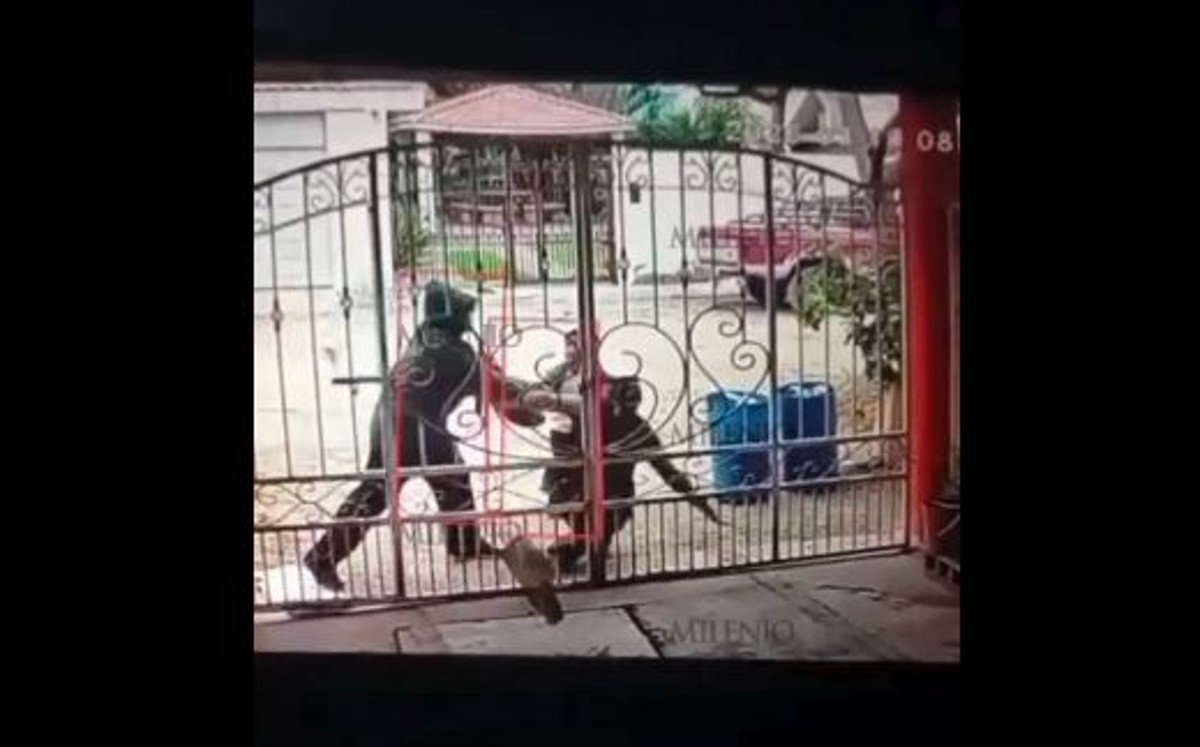 Video del robo en primaria de Ciudad Madero divide opiniones entre padres de familia.