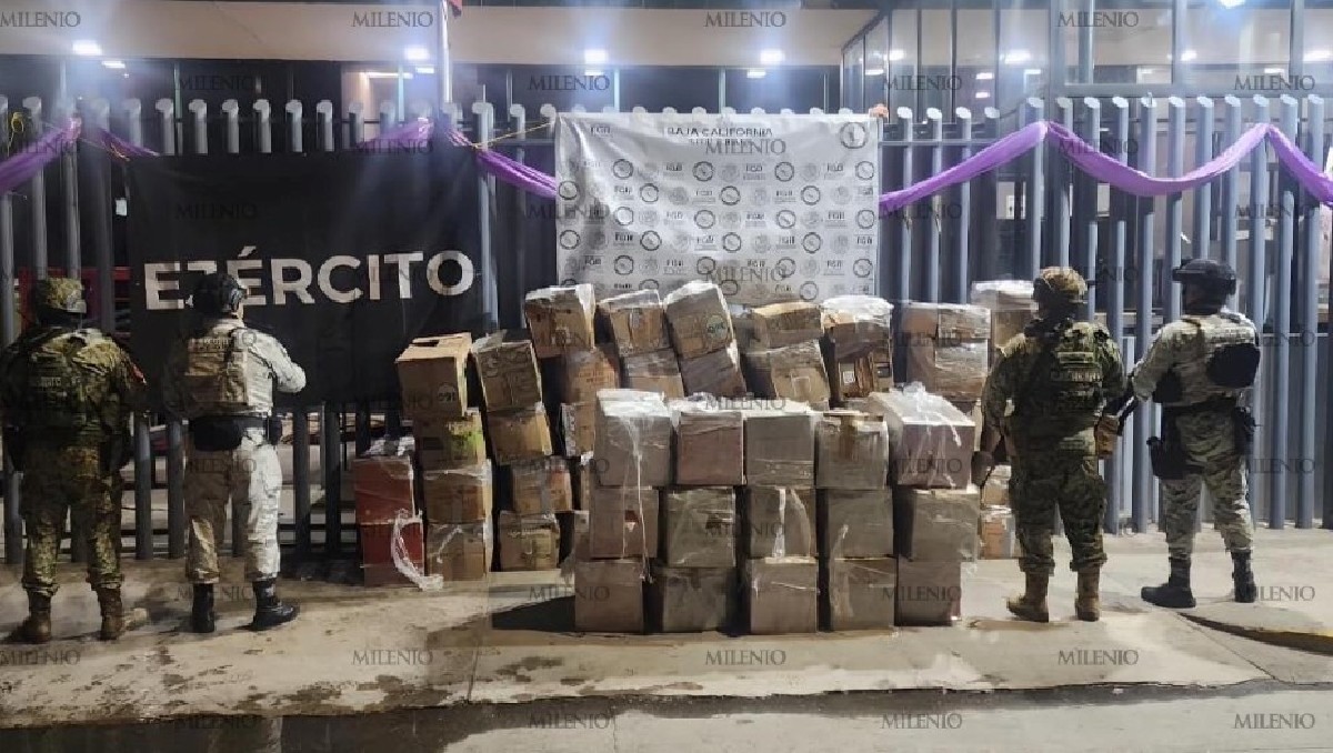 Todo lo asegurado quedó a disposición de la FGR. | Especial