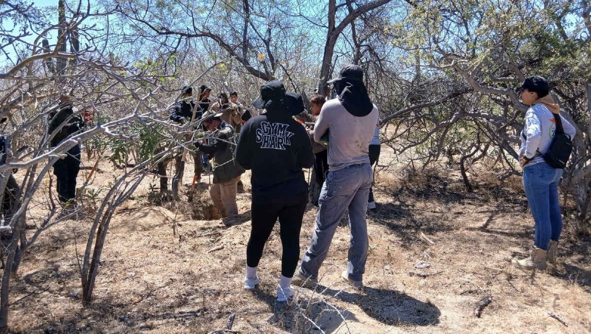 En la jornada participaron autoridades estatales y el colectivo Búsqueda x La Paz. | Foto: Especial