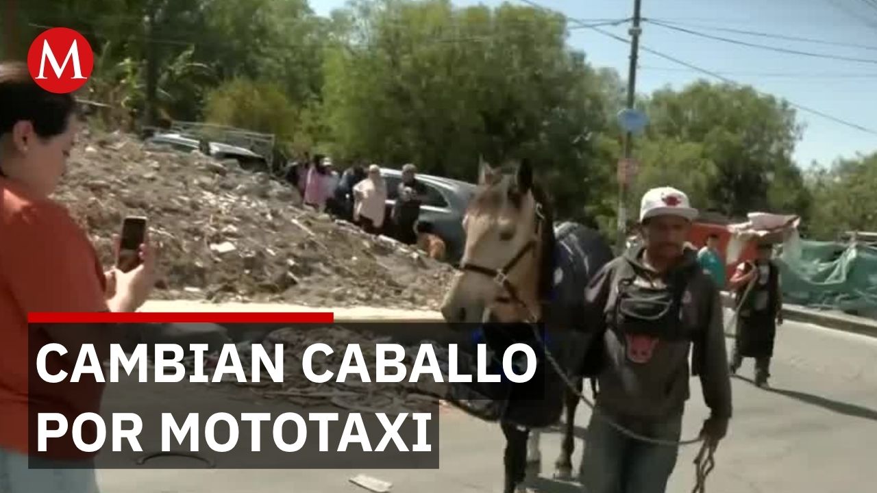 Ley contra maltrato animal logra el retiro total de caballos recolectores en Edomex