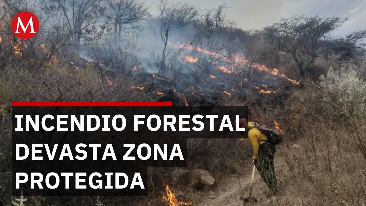 Actualización del incendio en La Primavera, sobrevuelos confirman gravedad del siniestro
