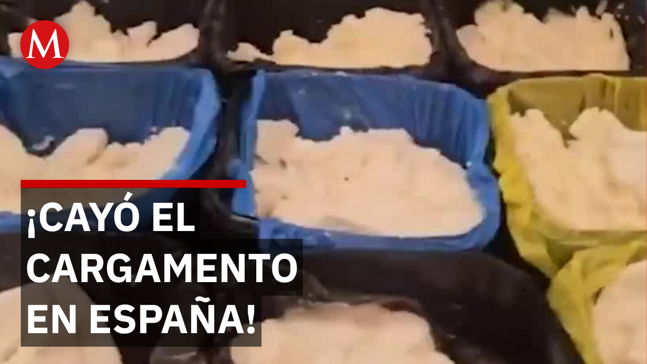 Incautan 625 kilos de droga en operativo histórico en Madrid, España