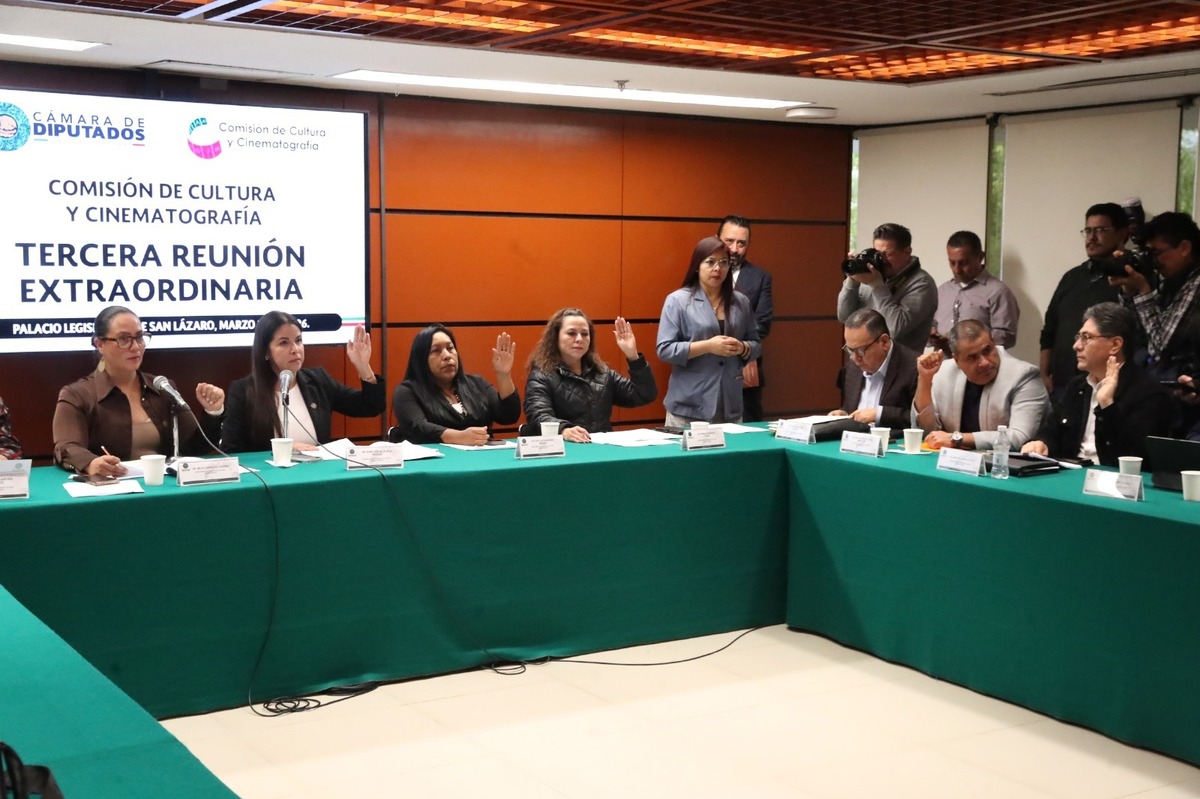 El objetivo de la propuesta es proteger los derechos artistas, intérpretes o ejecutantes. | Especial