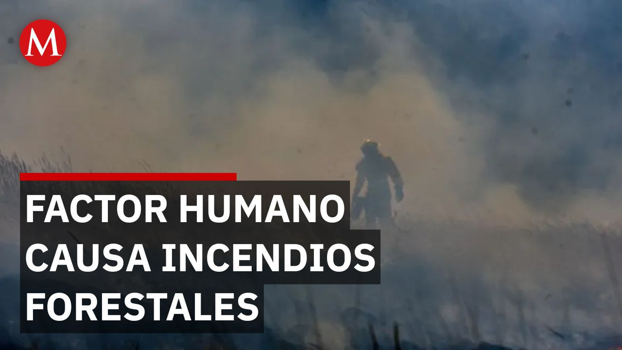 Reportan daños masivos en zonas naturales de Hidalgo por incendios