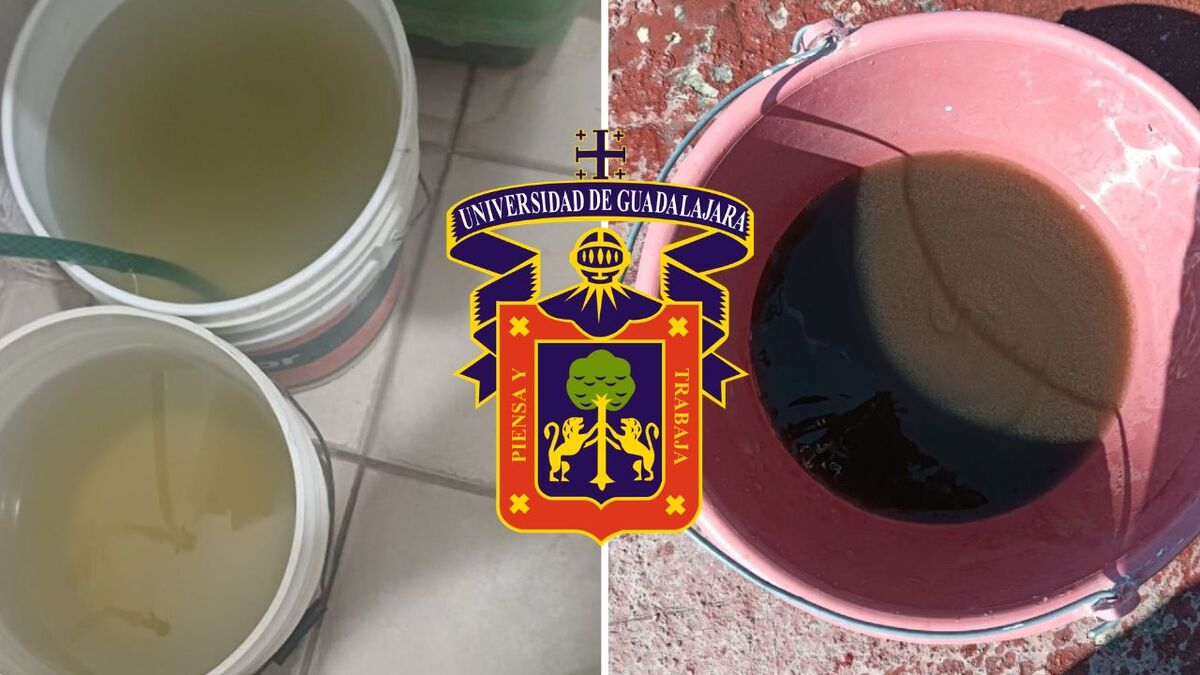 UdeG diagnostico de agua en Jalisco y SIAPA sin respuesta (Cortesía)