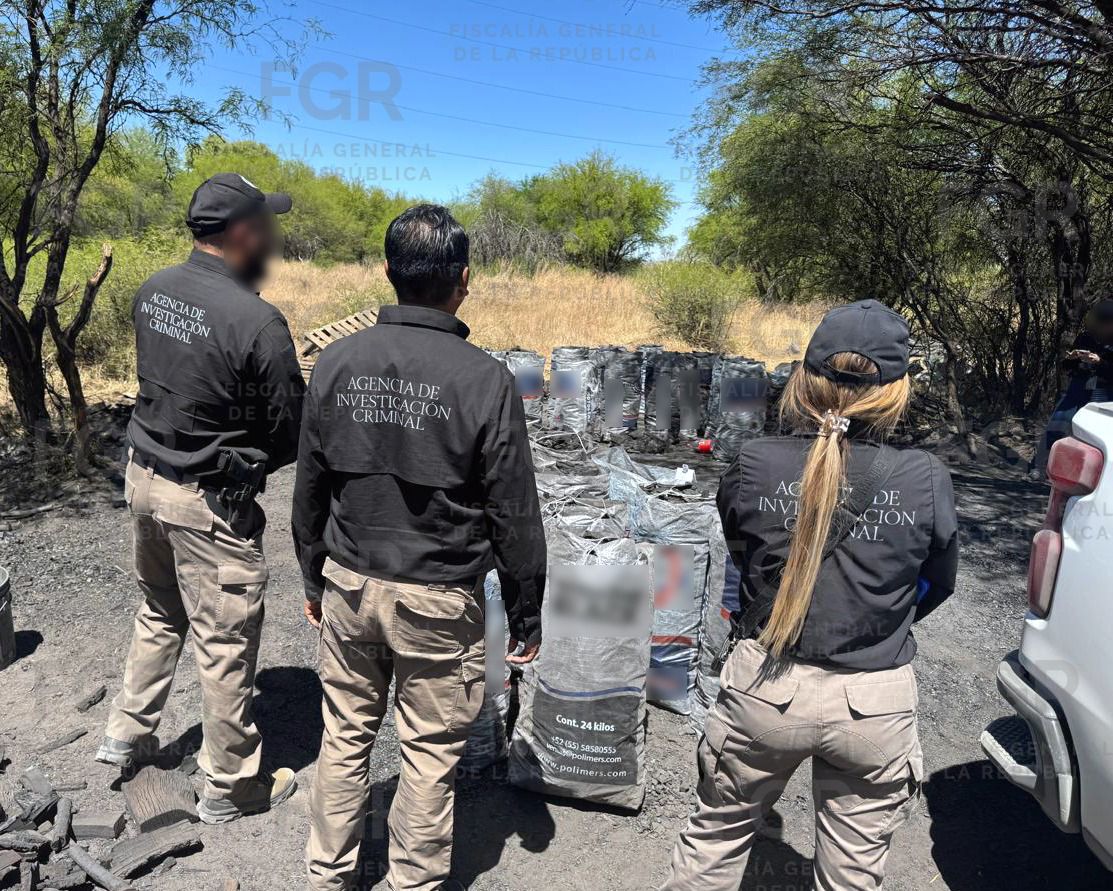 En Durango, investigan posible delito forestal tras cateo. | Milenio Policía