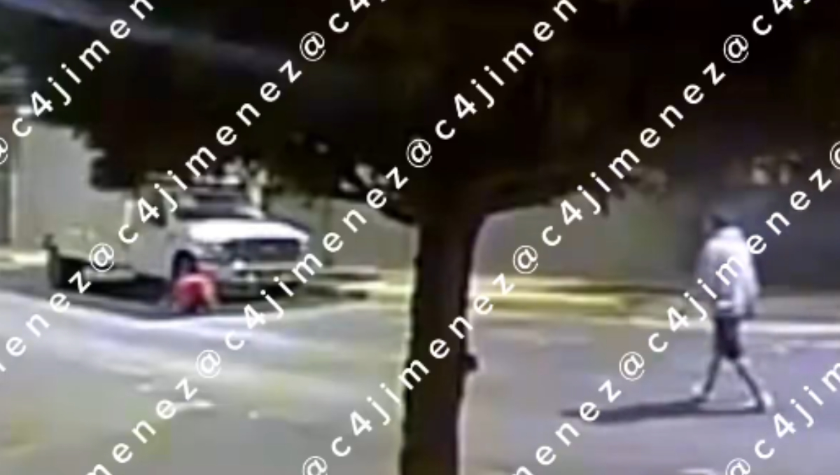 Un acto de crueldad que ha desatado enojo en redes: un sujeto dejó que su perro atacara brutalmente a un gato en la colonia Minerva, Iztapalapa.