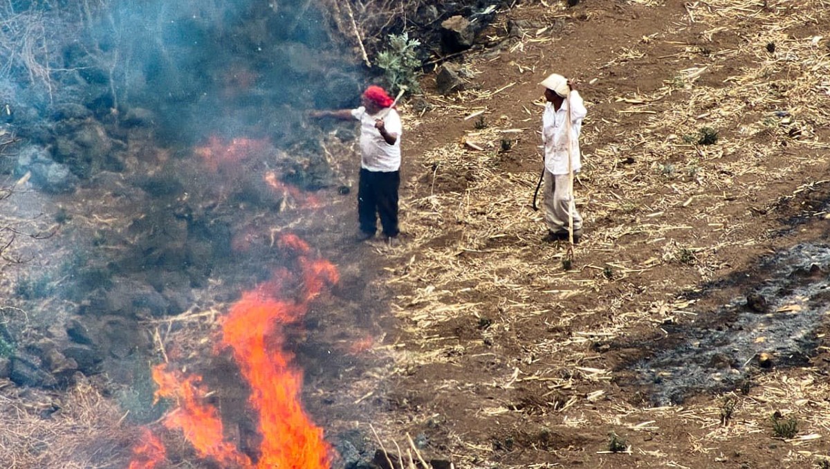 Los hombres argumentaron ser comuneros locales. | Foto: Especial