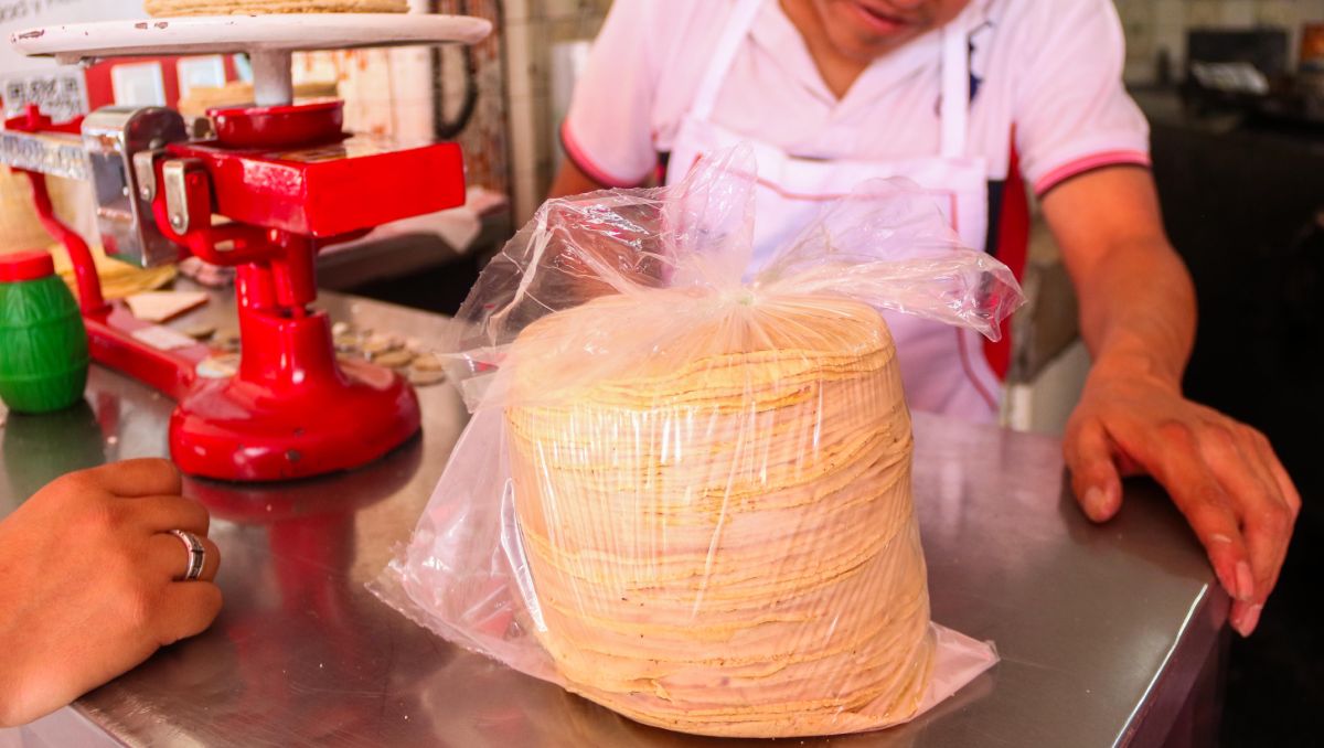 La NOM-187 establece cómo deben ser distribuidas las tortillas. Foto: (Cuartoscuro)