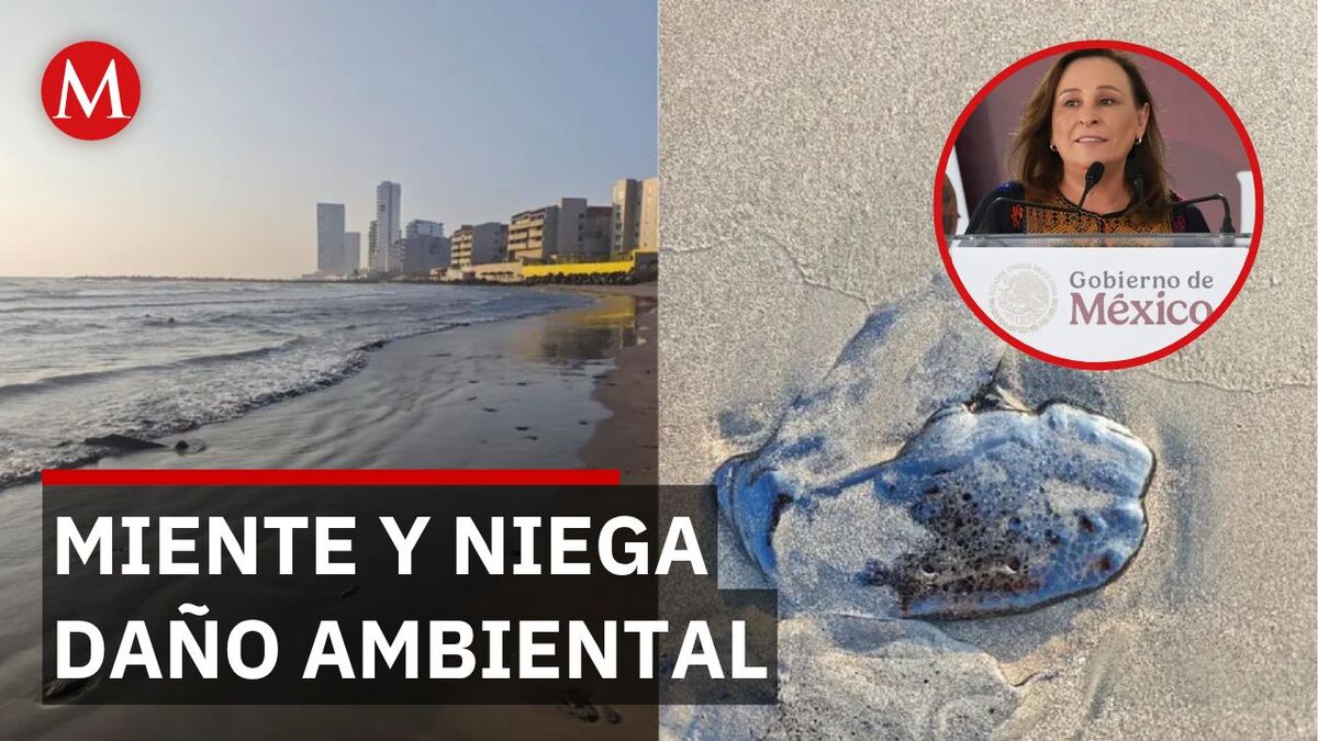 Rocío Nahle niega muerte de tortugas por derrame de crudo, Veracruz