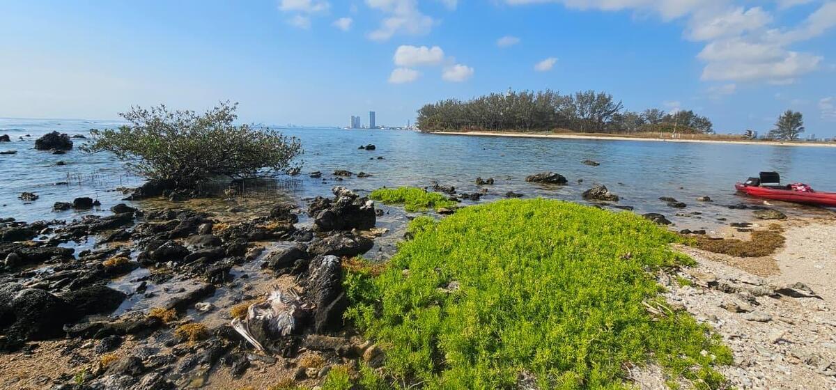 Estas acciones responden a las demandas de pescadores. (Foto: especial)