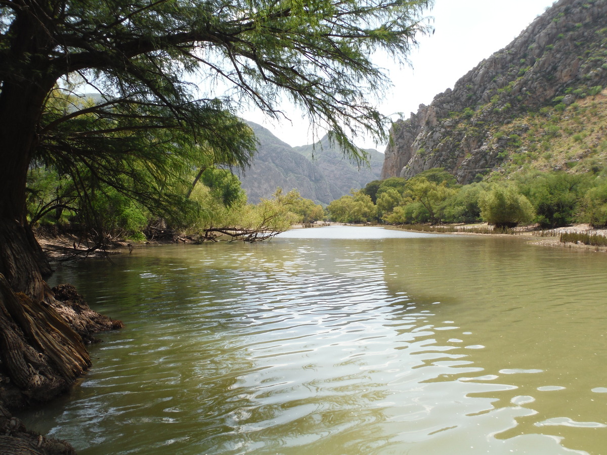 La Cuenca Alta del Nazas es un ecosistema en donde se capta casi toda el agua que abastece a la Comarca Lagunera. | Especial