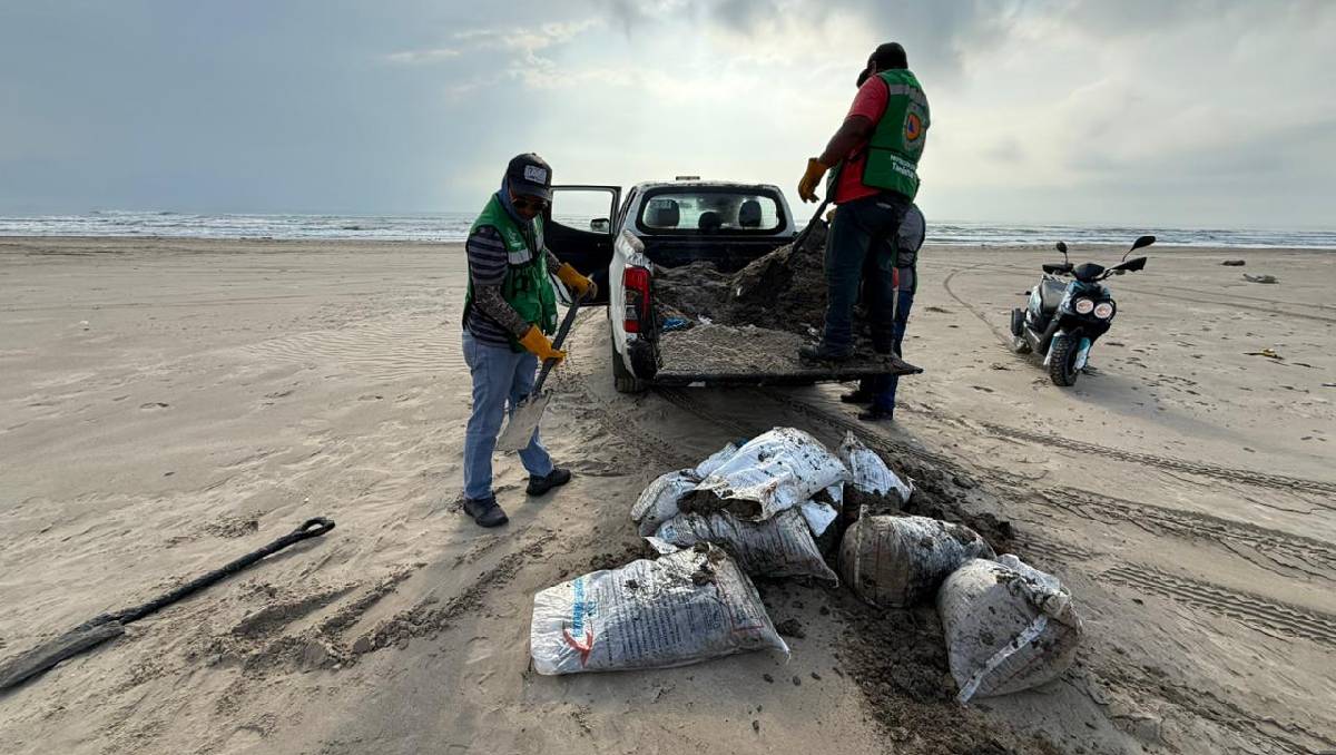 Derrame de hidrocarburo sigue amenazando especies en playas de Veracruz. | Foto: Alfredo López