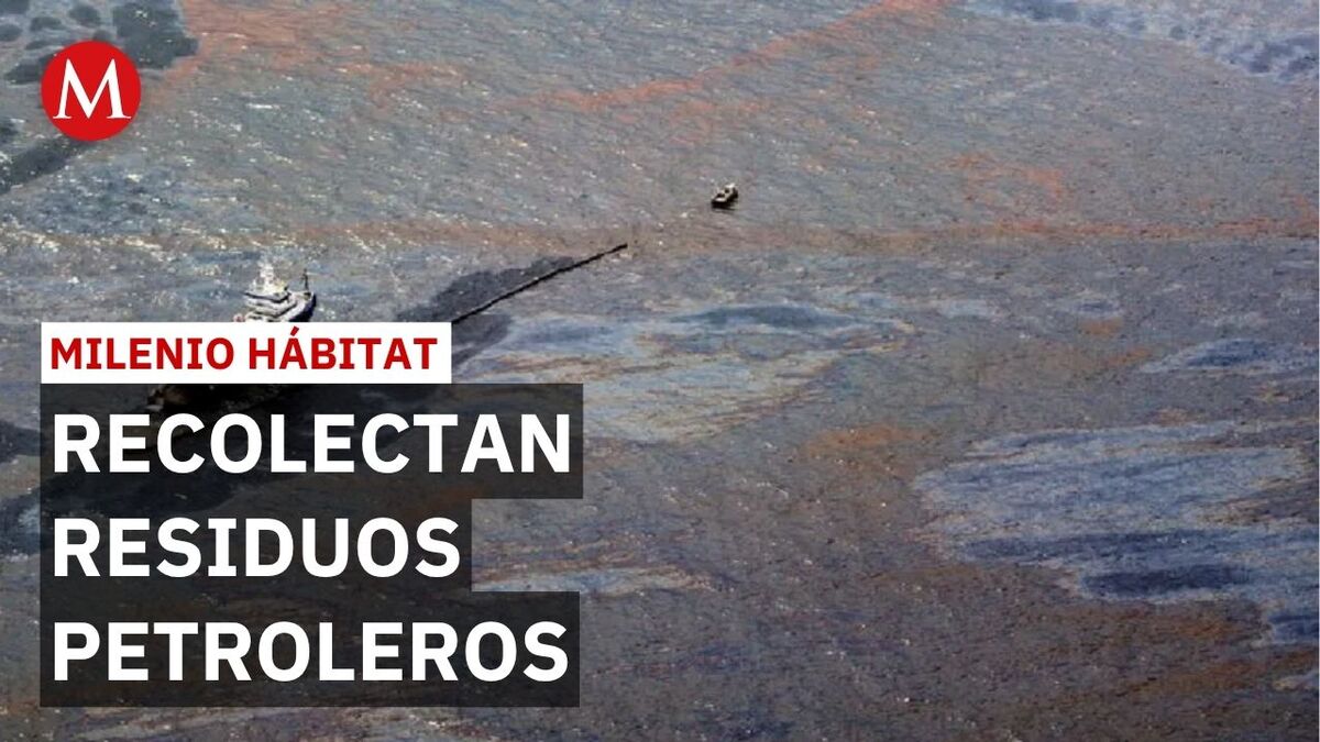 Derrame de hidrocarburos llega a 165 kilómetros de costa en Veracruz y Tabasco | Milenio Hábitat