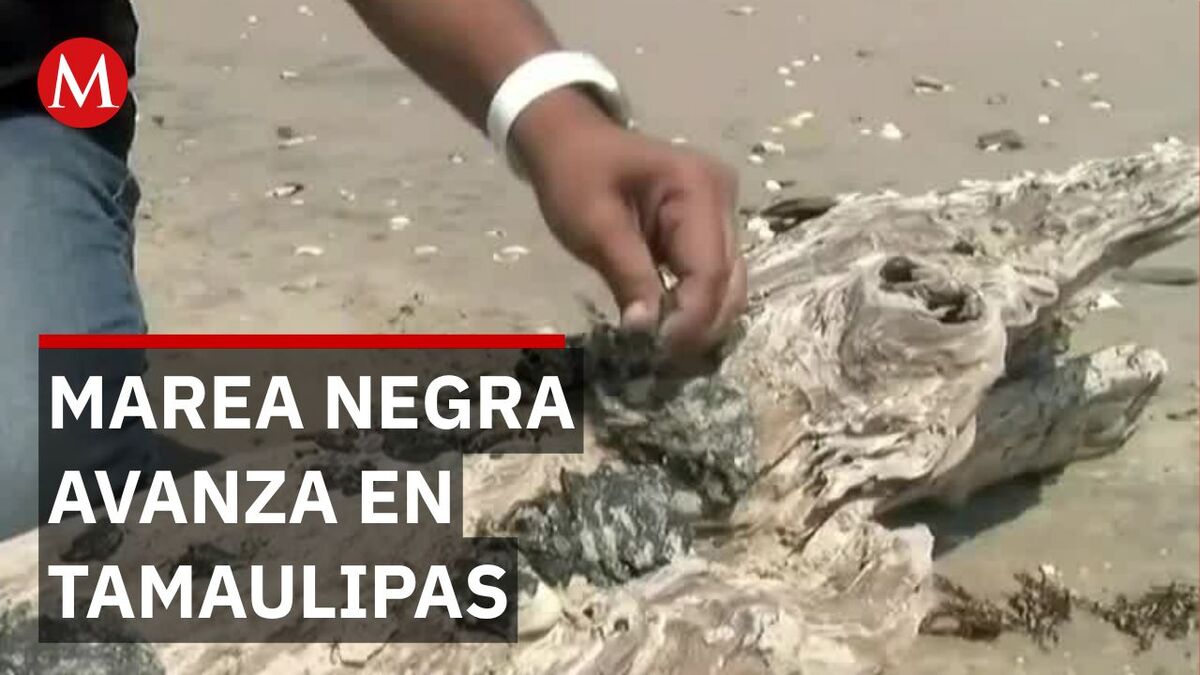 Marea negra en Tamaulipas: Llega hidrocarburo fresco a Playa Miramar