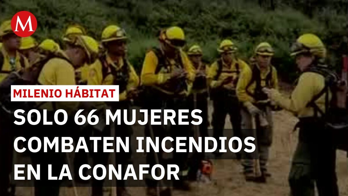 Marthlla Cortina Pérez: 600 batallas contra el fuego en México y el extranjero | Milenio Hábitat