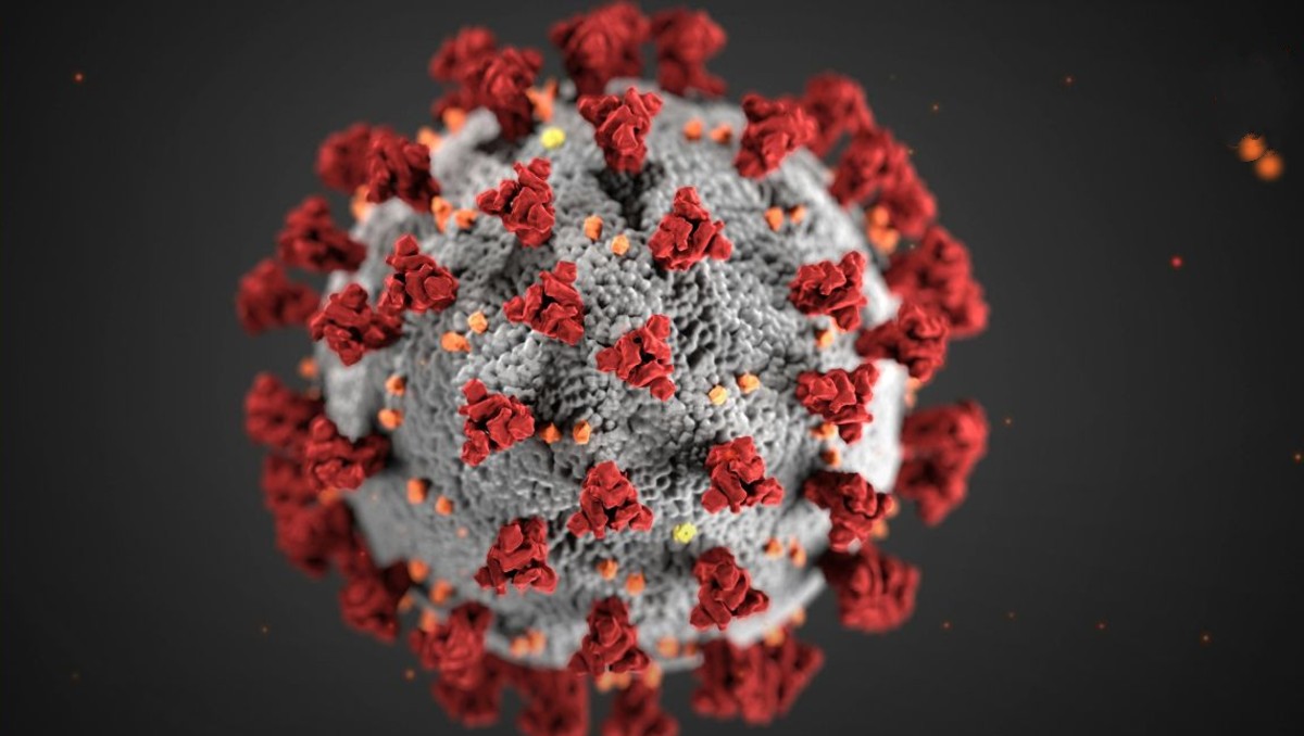 El trabajo entre ambos países busca detectar de manera temprana patógenos con potencial epidémico.