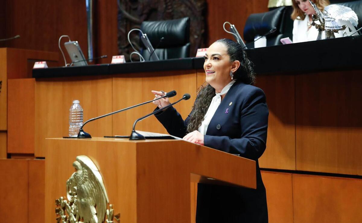 La senadora tamaulipeca informó que la Constitución reconoce la protección de los datos personales. (Foto: especial)