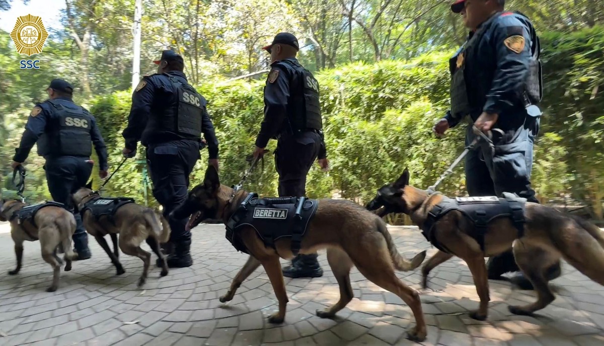 'Uzi', 'Atena', 'Beretta' y 'Nix' ayudarán a reforzar la seguridad en el Mundial 2026.