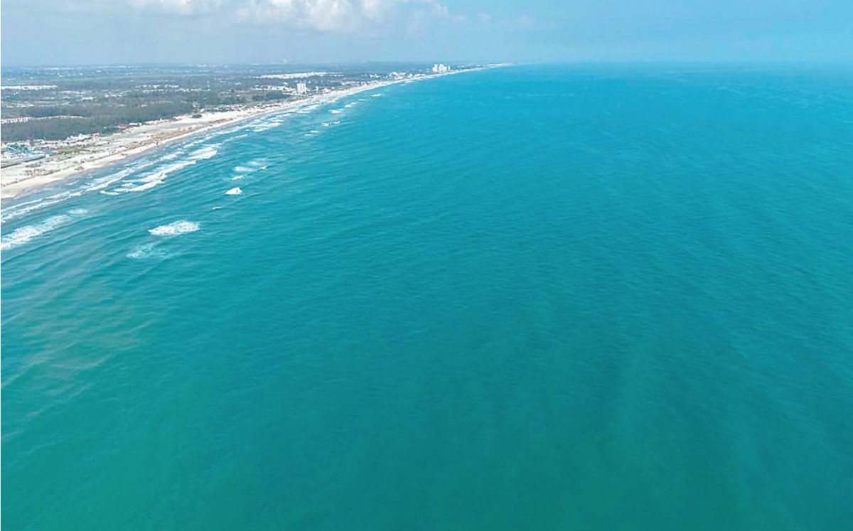 Afectaciones en especies de norte de Veracruz