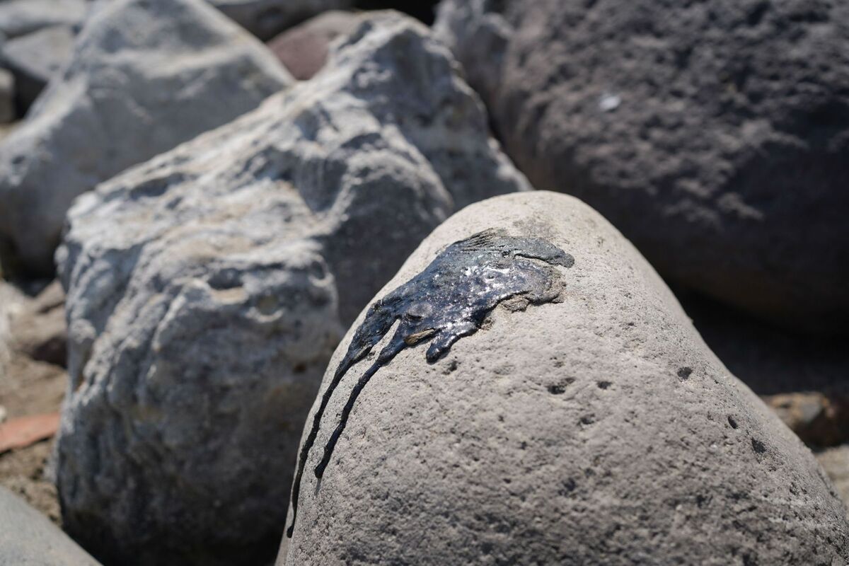 Las costas quedaron con restos tras el derrame de crudo en el Golfo de México. | Cuartoscuro
