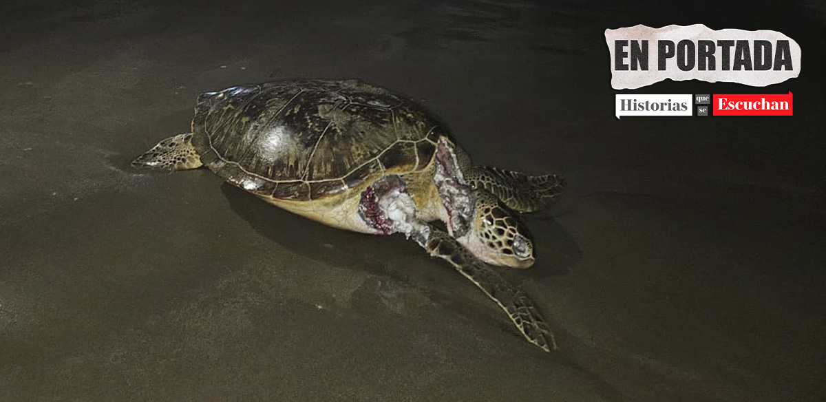 Derrame de petróleo en Golfo de México deja crisis ambiental