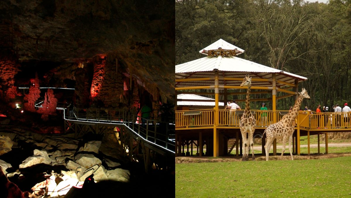 Entre los destinos turísticos se encuentran las Grutas de Bustamante y el Bioparque Estrella. Especial