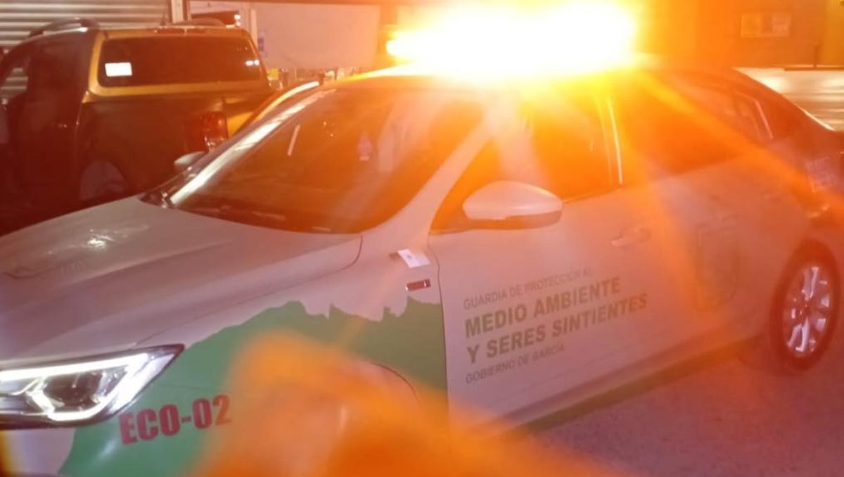 El perrito ya fue localizado y recibió atención | Especial