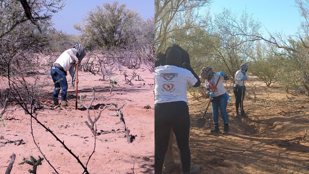 Las búsquedas por parte del colectivo seguirán. | Especial