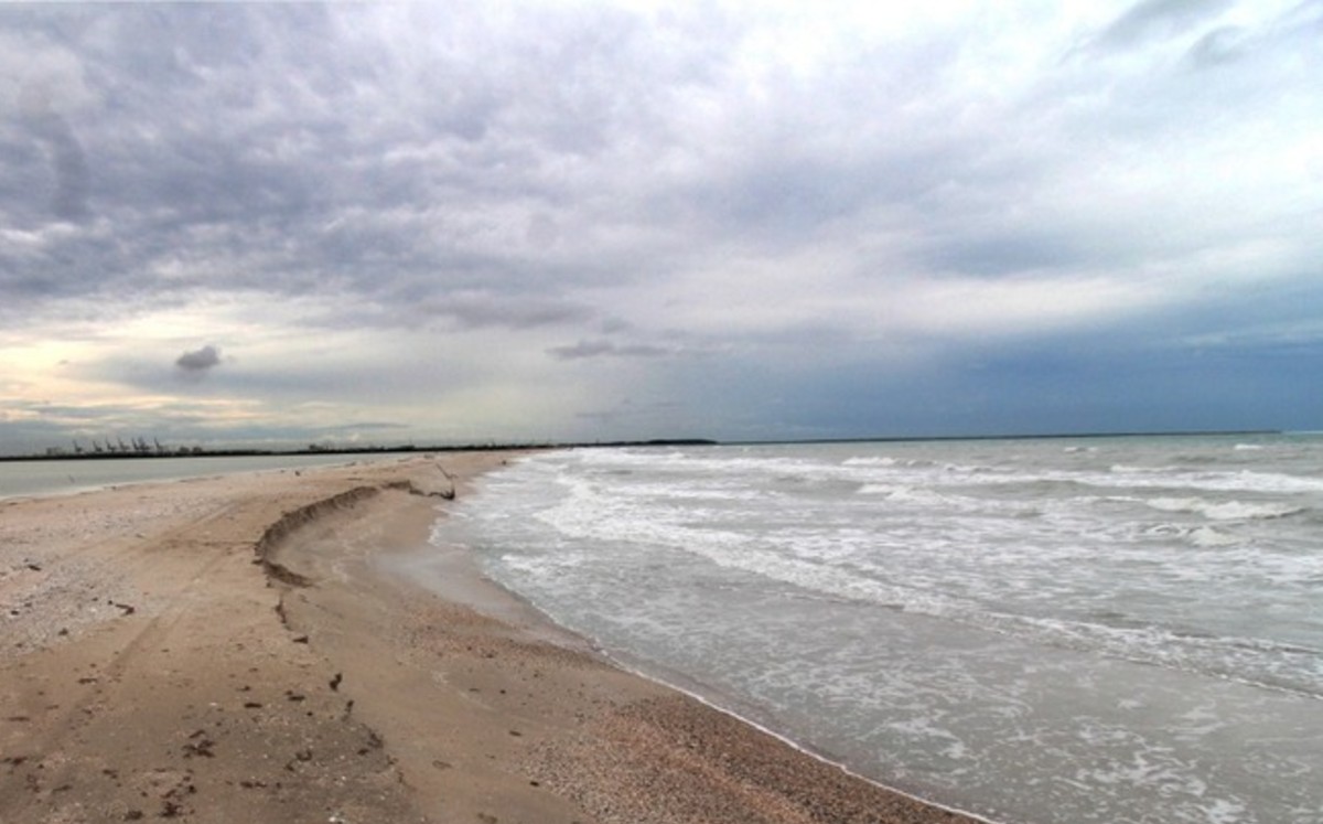 Organismos de la Semarnat, realizan inspecciones en las costas. | Yazmín S.