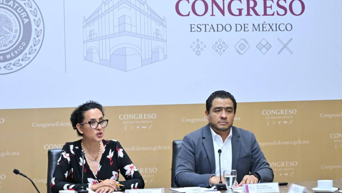 La pena fue considerada una sanción inconstitucional, excesiva y contraria a derecho. | Especial