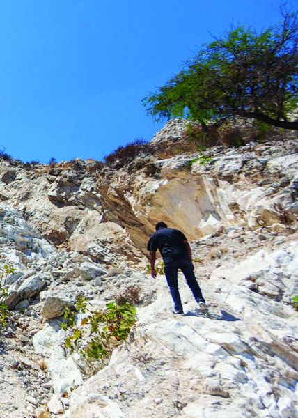 El análisis inicial se concentró en la Mixteca. A. Lobato/Archivo