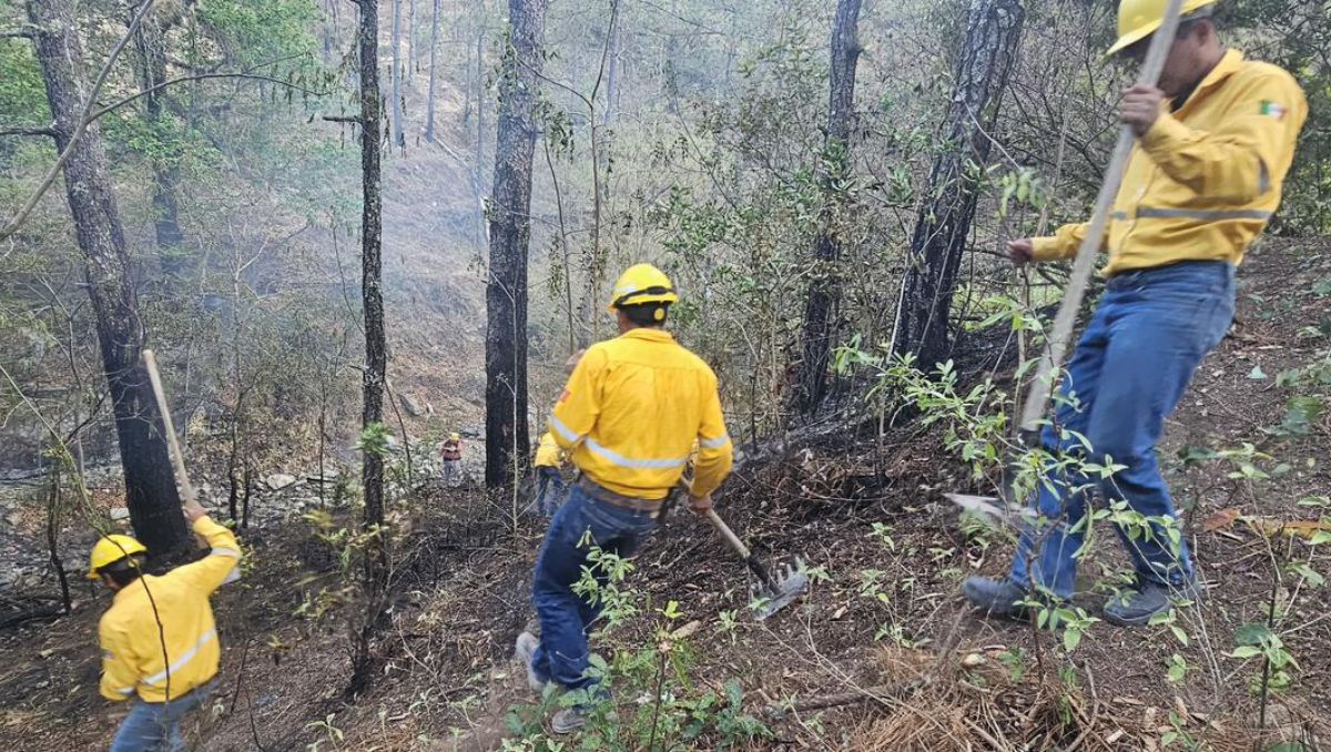 Las autoridades mantienen las labores de reconocimiento y combate del incendio | Especial