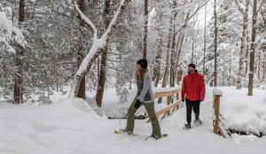 Blue Mountain, Canadá