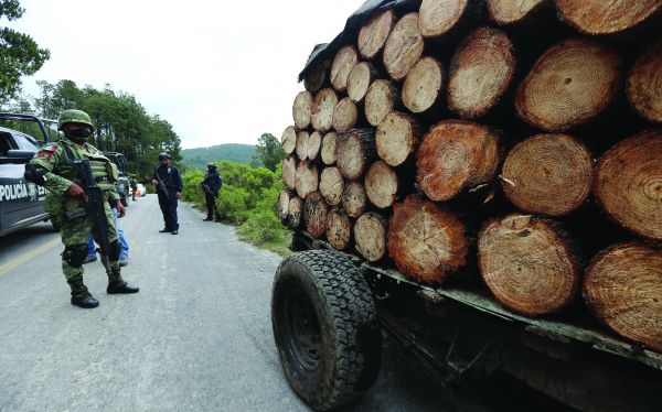 Es un problema en todo el estado; han realizado 70 operativos. Tania Contreras