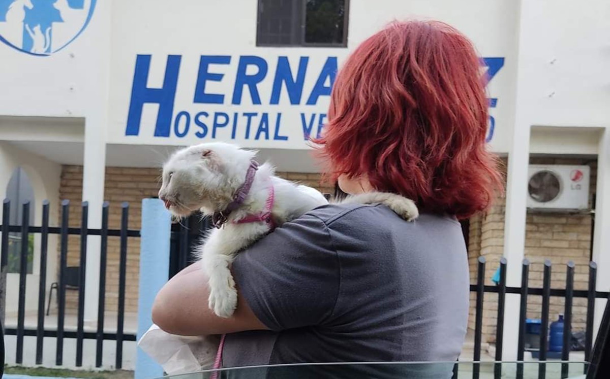 Estrés, ansiedad y depresión: el lado invisible del rescate animal.