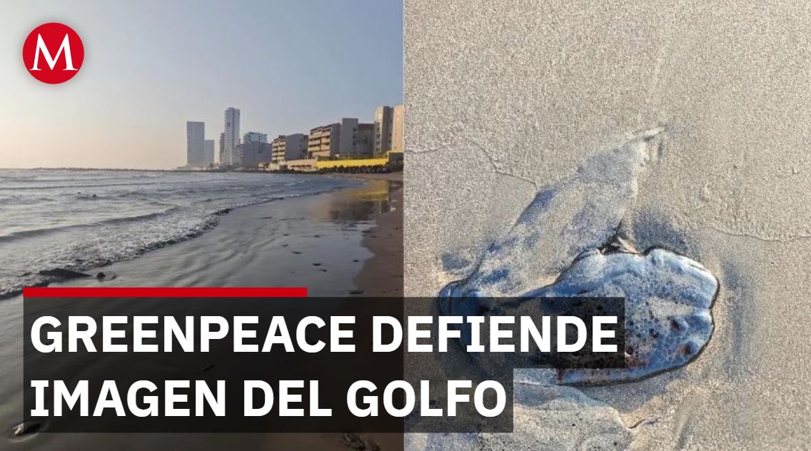 Greenpeace defendió la imágen ilustrativa sobre la afectación del crudo en el Golfo de México