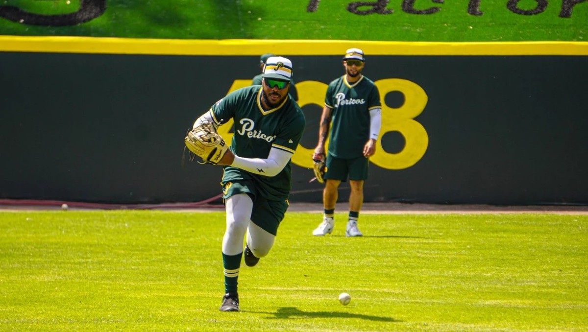 Pericos de Puebla | Especial