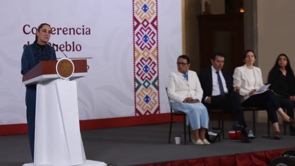 La Presidenta apuntó que Marina investiga las caudas del incidente. | Foto: Juan Carlos Bautista