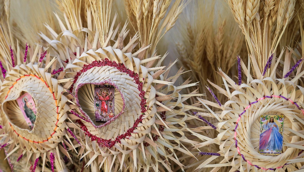 Artesania de Palma | Andrés Lobato