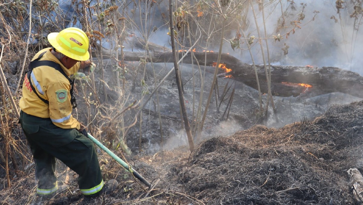 Bomberos de Zapopan contribuyeron para controlar el fuego en El Centinela (Cortesía)