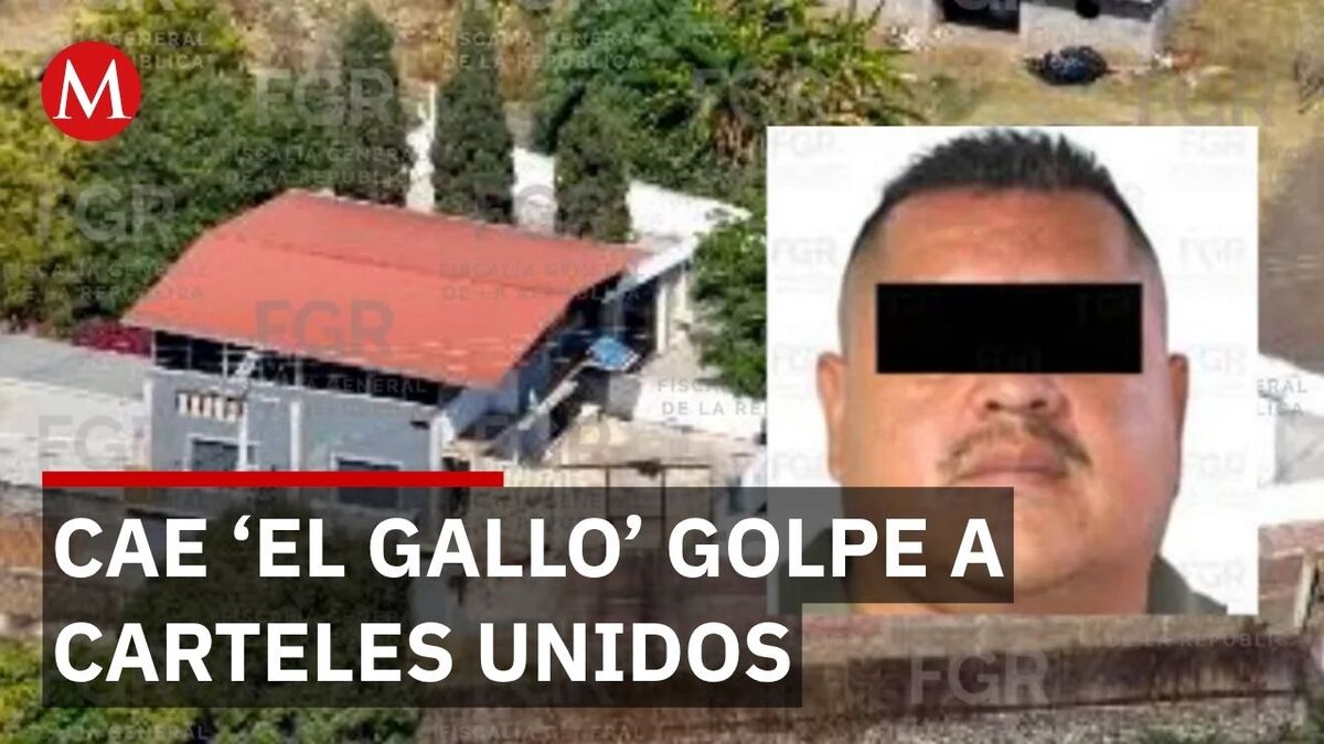 Cae 'El Gallo', objetivo prioritario y líder de Carteles Unidos en Michoacán