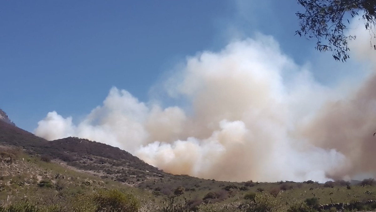 Incendio en San José Iturbide es controlado al 80% | Especial