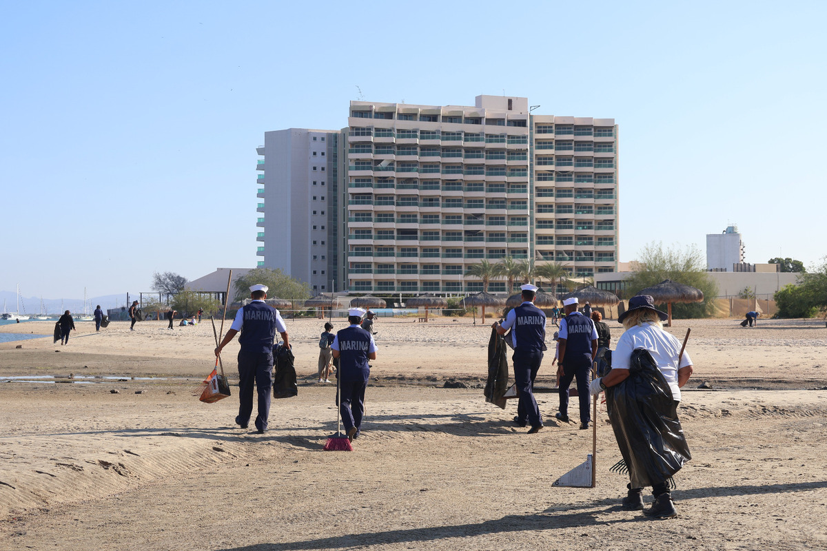 Las autoridades limpiaron más de 480 kilómetros de costa. | Especial