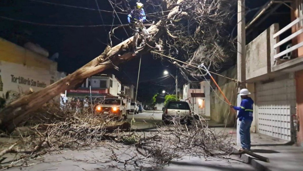 Fuertes vientos dejan más de 60 incidencias y 35 árboles caídos en León
